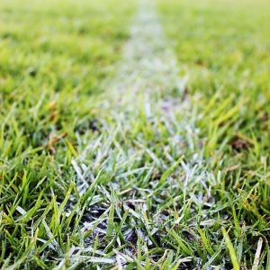 Image is of a white football field stripe on the grass.