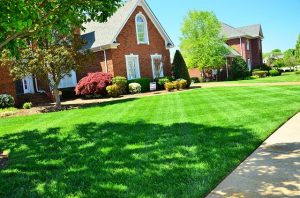 Image is a home with a well-maintained lawn and landscaping.